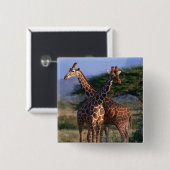 Majestätische Giraffen Button (Vorne & Hinten)