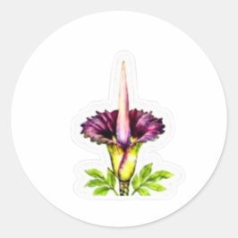 Majestätische Leichenblume Kunst - Ikonische indon Runder Aufkleber