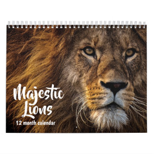 Majestätische Löwen 2027 Kalender