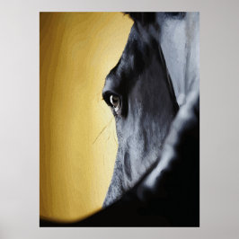 Majestätische Nahaufnahme des Pferdeauges Kunst Poster