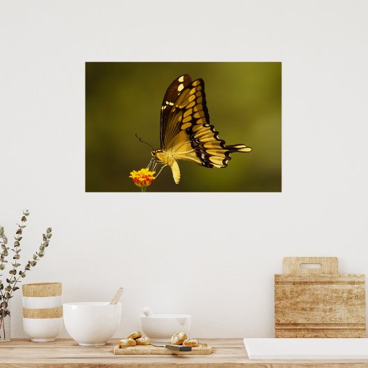 Majestätische Reflexion Poster (Küche)