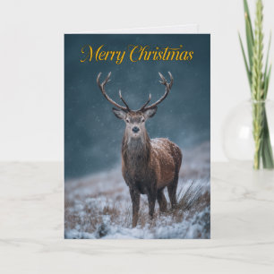 Majestätische Rothirsch-Hirsch-Foto-Weihnachtskart Karte