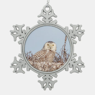 Majestätische Schneeeule der Küste von Connecticut Schneeflocken Zinn-Ornament