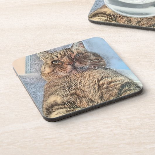 Majestätische Tigerkatze Getränkeuntersetzer (Linke Seite)