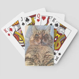 Majestätische Tigerkatze Spielkarten