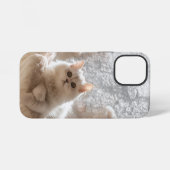 Majestätische weiße Katze iPhone Hülle (Rückseite (Horizontal))