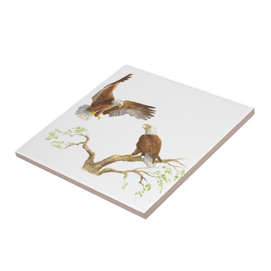 Majestätische Weißkopfseeadler Fliese (Seite)