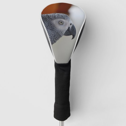 Majestätischer afrikanisches Grau-Papagei Golf Headcover (Vorderseite)