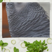 Majestätischer afrikanisches Grau-Papagei Handtuch (Gefaltet)