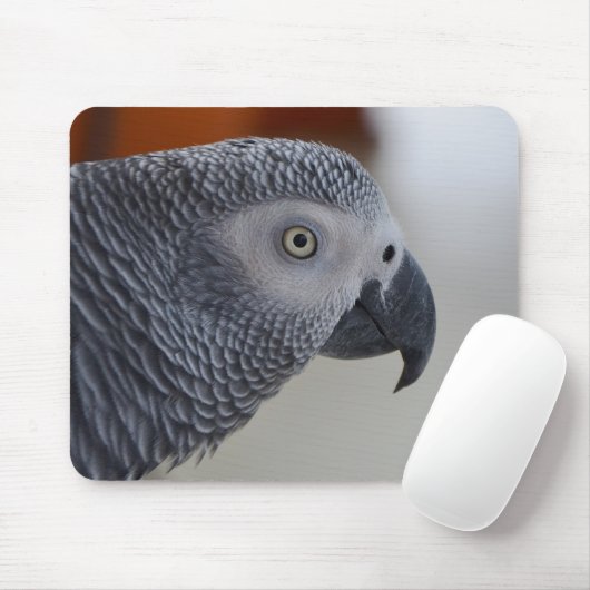 Majestätischer afrikanisches Grau-Papagei Mousepad (Mit Mouse)