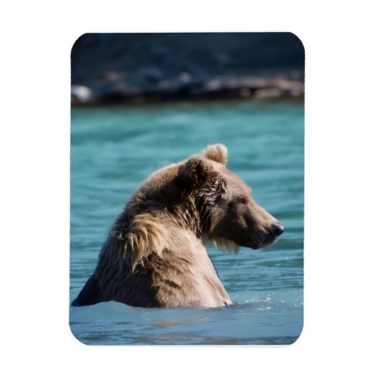 Majestätischer Alaskan Braunbär Magnet (Vertikal)
