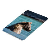 Majestätischer Alaskan Braunbär Magnet (Linke Seite)