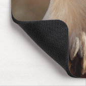 Majestätischer Amerikaner Eagle Mousepad (Ecke)