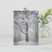 Majestätischer Buchenbaum im Winterwald Dankeskarte (Stehend Vorderseite)