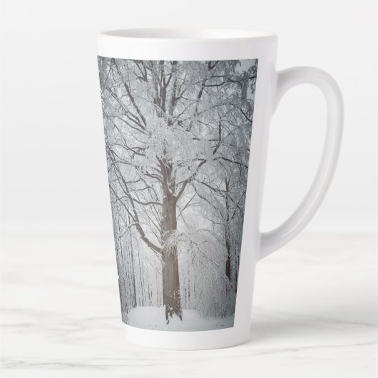 Majestätischer Buchenbaum im Winterwald Milchtasse (Rechts)