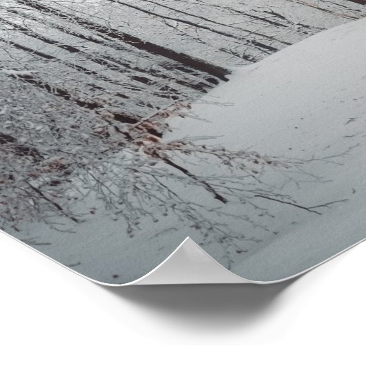 Majestätischer Buchenbaum im Winterwald Poster (Ecke)