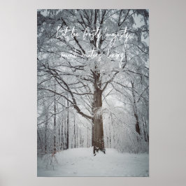 Majestätischer Buchenbaum im Winterwald Poster