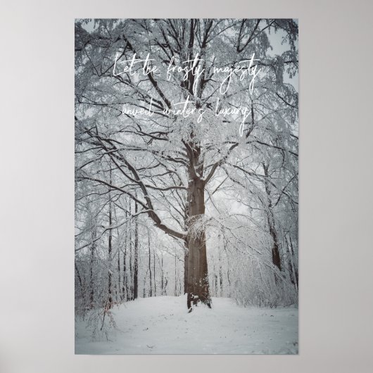Majestätischer Buchenbaum im Winterwald Poster (Vorne)