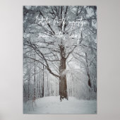 Majestätischer Buchenbaum im Winterwald Poster (Vorne)