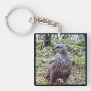 Majestätischer Bussard Seitenblick Wald Raubvogel  Schlüsselanhänger