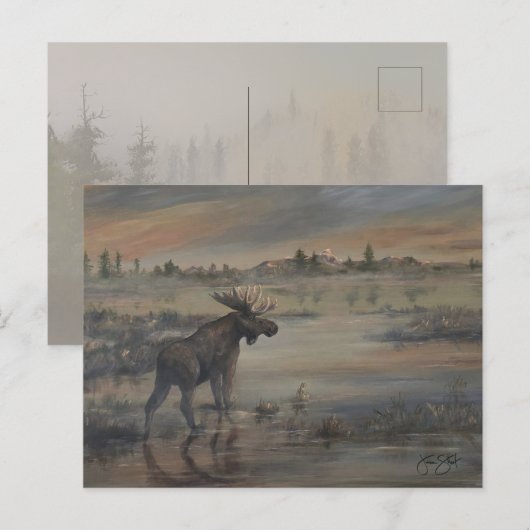 Majestätischer Elch Postkarte (Vorne/Hinten)