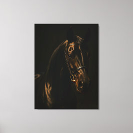 Majestätischer Fuchsbrauner Hengst im Dunkeln Leinwanddruck