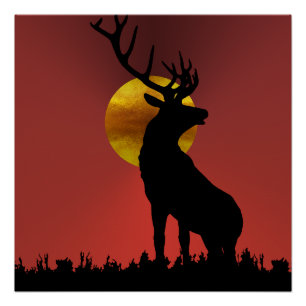 Majestätischer gehörnter Hirsch im goldenen Sonnen Poster