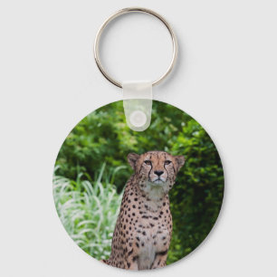 Majestätischer Gepard Schlüsselanhänger