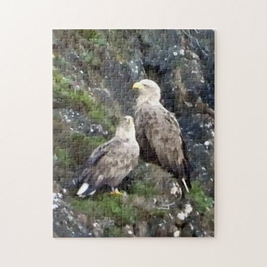 Majestätischer Greifvogel Weißkopfseeadler-Paar Puzzle (Vertikal)