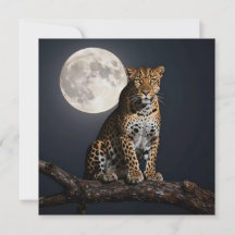 Majestätischer Leopard und Vollmond Leerkarte