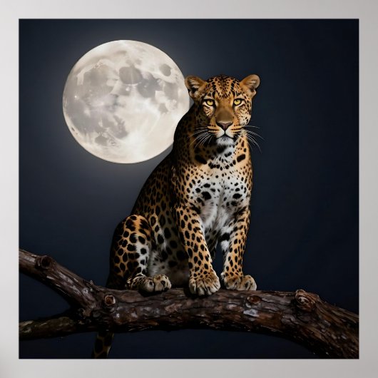 Majestätischer Leopard und Vollmond Poster (Vorne)
