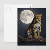 Majestätischer Leopard und Vollmond  Postkarte (Vorne/Hinten)