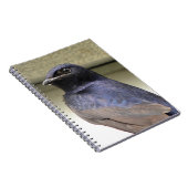 Majestätischer lila Martin Notizblock (Rechte Seite)