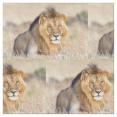 Majestätischer Löwe Stoff (Nahaufnahme)