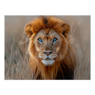 Majestätischer männlicher Löwe mit leuchtend blaue Poster