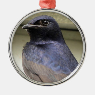 Majestätischer Purpur-Schwalbe Ornament Aus Metall