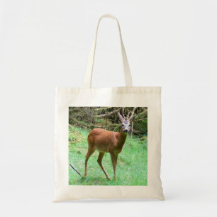 Majestätischer Rehbock bei der Pose im Wald Wildli Tragetasche