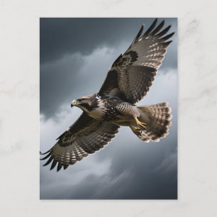 Majestätischer schwebender Habicht Sturmwolken Postkarte