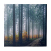 Majestätischer Waldbaum gesäumter Weg Fliese (Vorderseite)