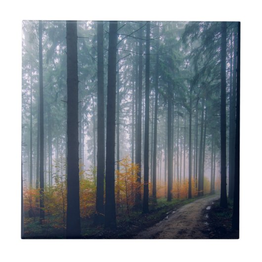 Majestätischer Waldbaum gesäumter Weg Fliese (Vorderseite)