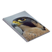 Majestätischer Wanderfalke Notizblock (Rechte Seite)