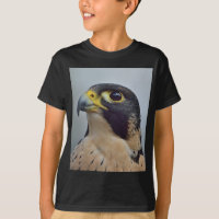 Majestätischer Wanderfalke
