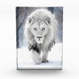 Majestätischer Weißer Löwe im Winter Wonderland De Fotoblock