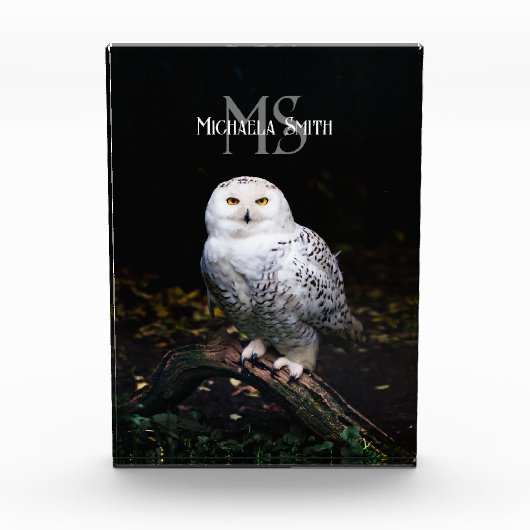 Majestätischer Winterschneeauuler Monogramm-indivi Fotoblock (Vorderseite)