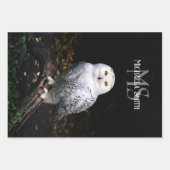 Majestätischer Winterschneeauuler Monogramm-indivi Geschenkpapier Set (Vorderseite 3)