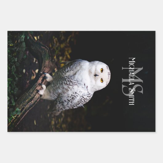 Majestätischer Winterschneeauuler Monogramm-indivi Geschenkpapier Set (Vorderseite 3)