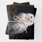 Majestätischer Winterschneeauuler Monogramm-indivi Geschenkpapier Set (Beispiel)