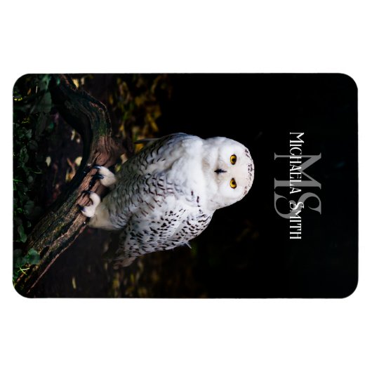 Majestätischer Winterschneeauuler Monogramm-indivi Magnet (Horizontal)