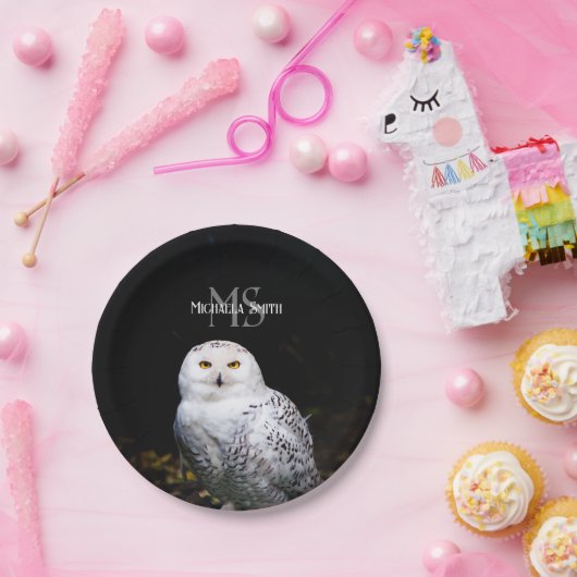 Majestätischer Winterschneeauuler Monogramm-indivi Pappteller (Party)