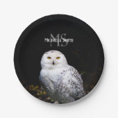 Majestätischer Winterschneeauuler Monogramm-indivi Pappteller (Vorderseite)